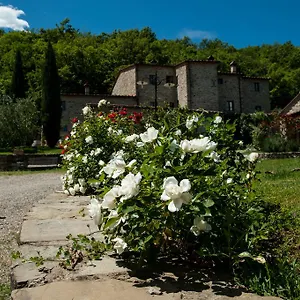 Azienda Agricola Il Pozzo Feriegård